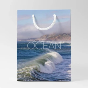 Пакет подарочный Симфония Ocean 30x21x14 см цвет разноцветный