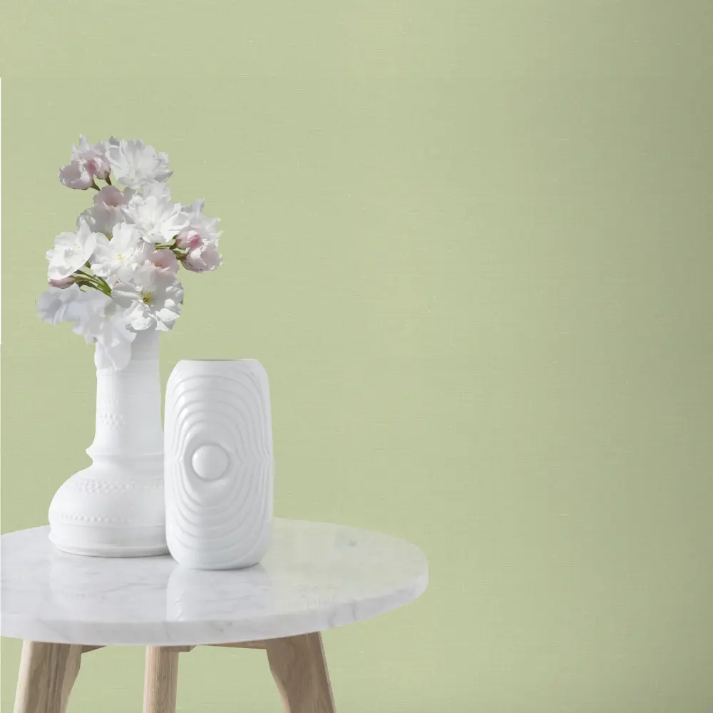 Обои флизелиновые Rasch Lazy Sunday зелёные 0.53 м 401851 STLM-2194348 - Вид №2