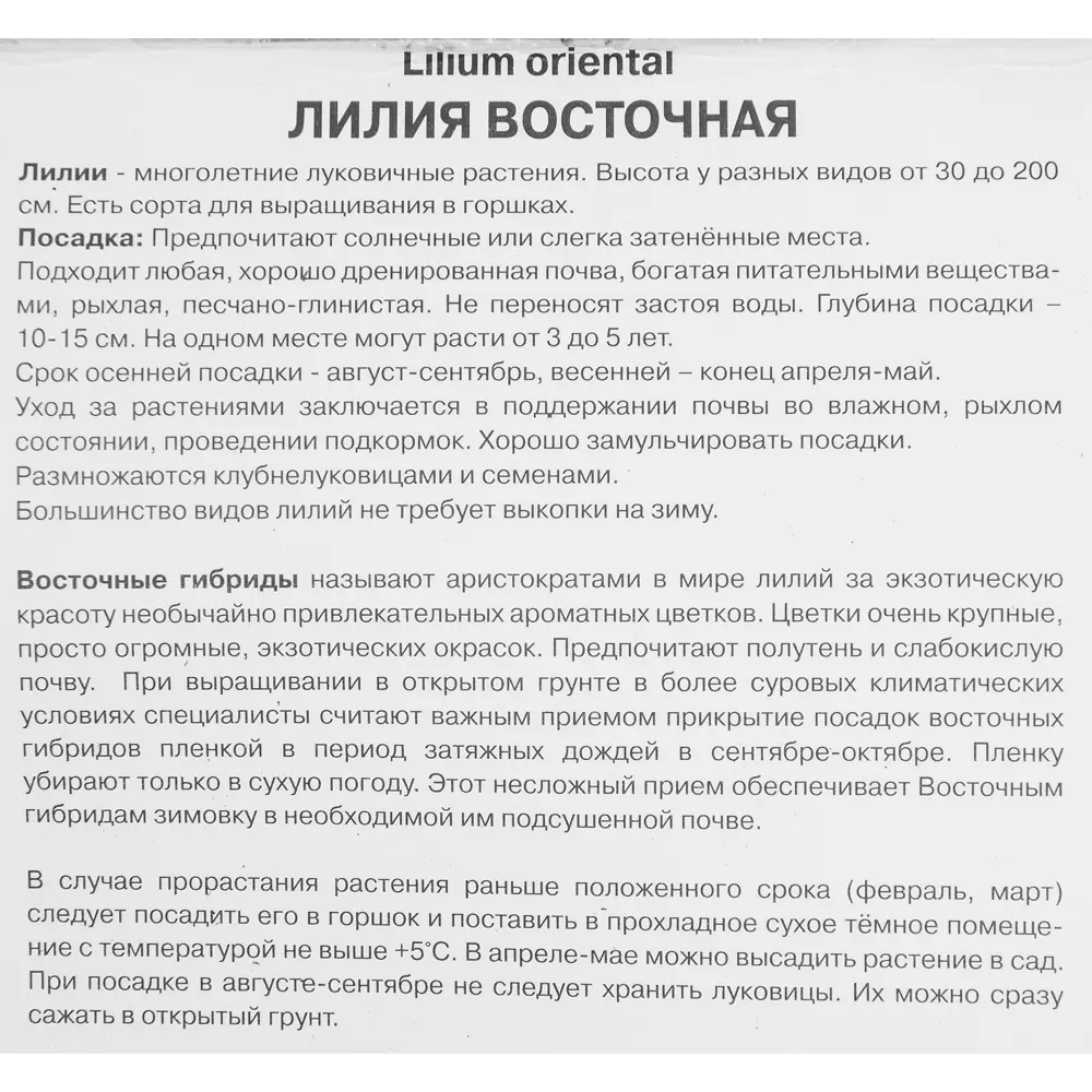 Лилия восточная Мах Лотус Бриз 85205759 STLM-2099946 ПОИСК  - Вид №2