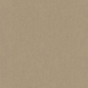 501193 Обои Rasch Emilia