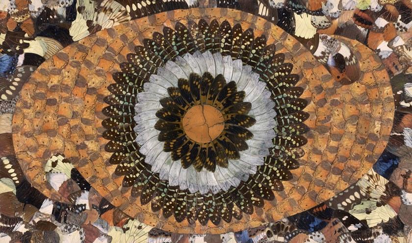 Tecnografica Обои с животными Animalier sun-id-1434717 - Вид №1