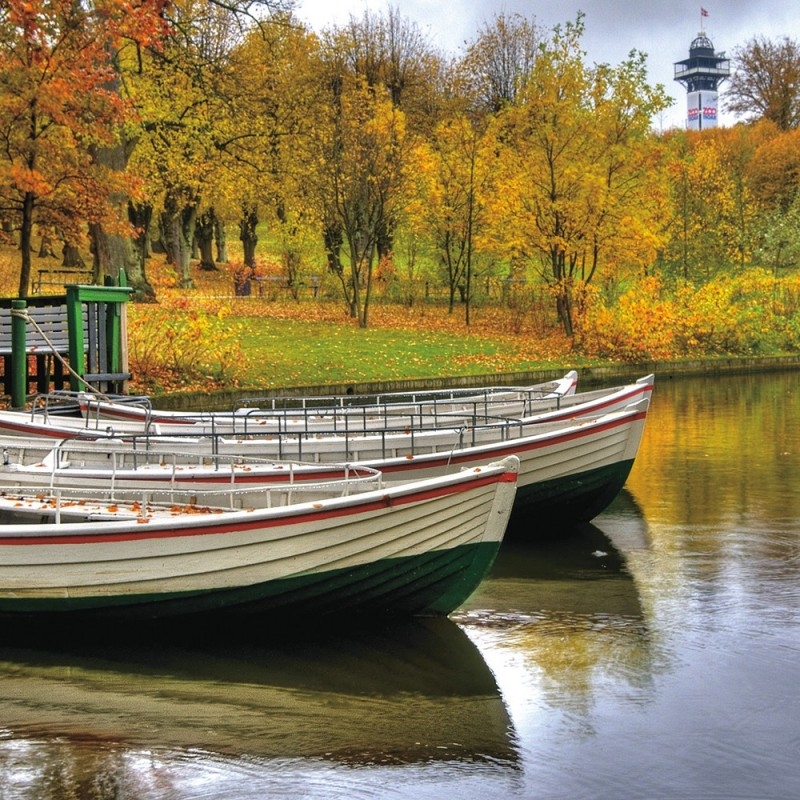 0684/CX38 Картина 0684 Adriani e Rossi  - Вид №2