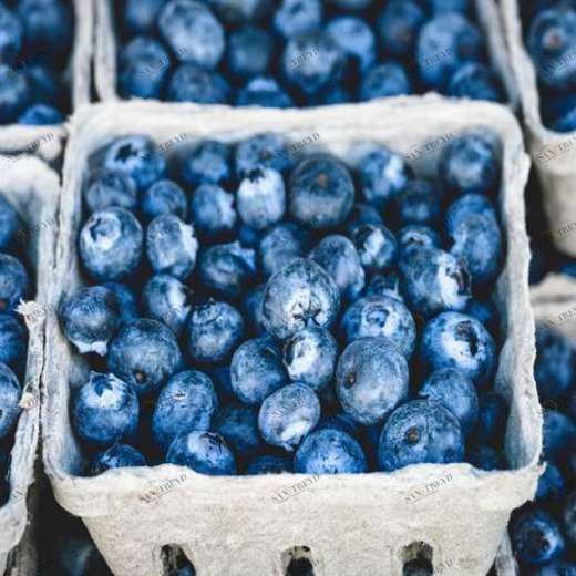 WP01048 Фотообои Verol Фотообои decoline 1х1 м