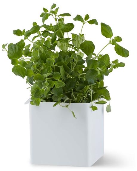 Gejst Контейнер Flex 00410 - Вид №1