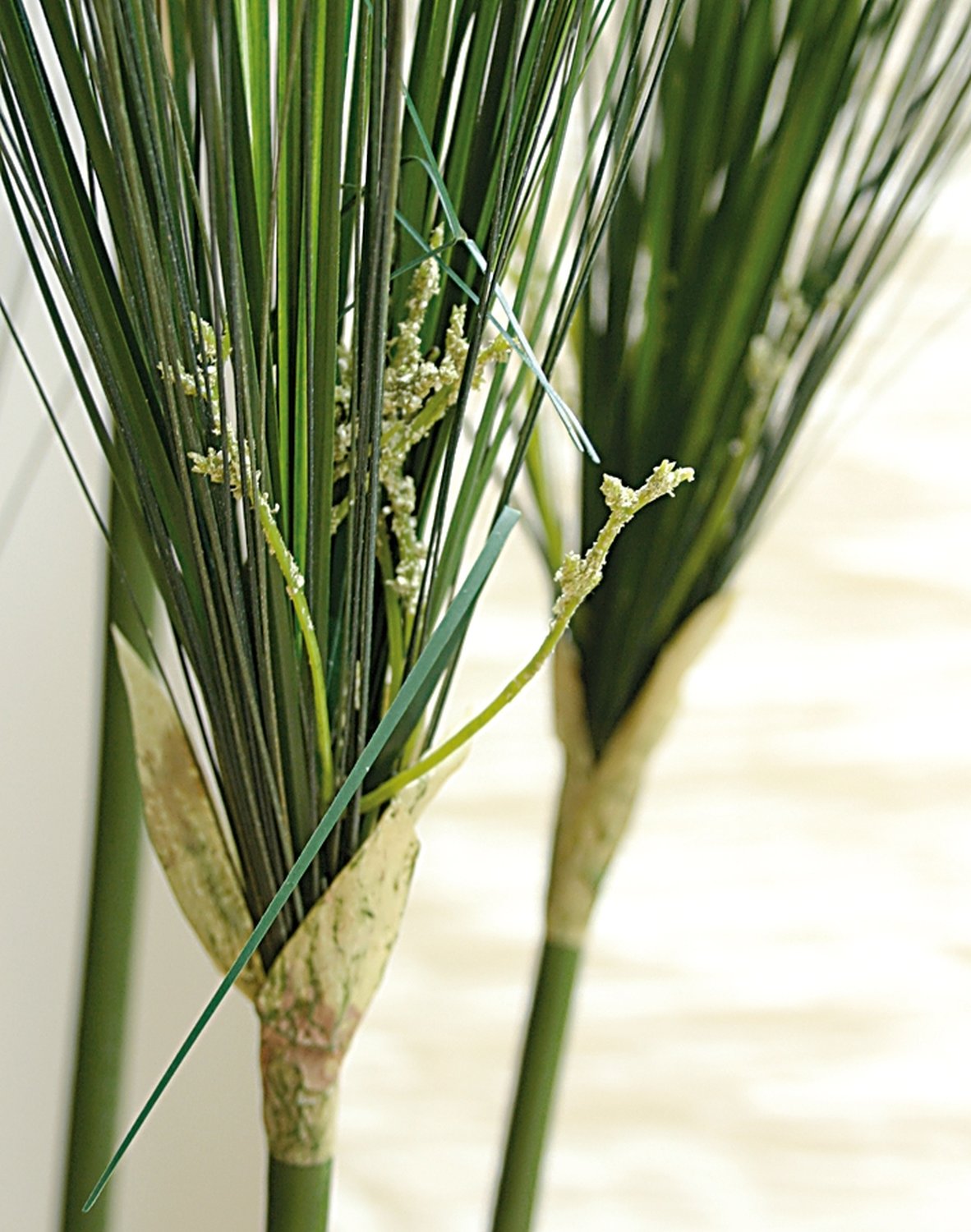 5722 883 a3 Пластиковая трость для бумаги, в горшке, 150 см, зеленая H-andreas  - Вид №1