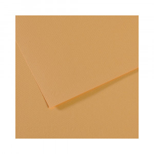 200321044 Бумага для пастели Mi-Teintes 160 г/м2 50 х 65 см лист №340 конопляный Canson