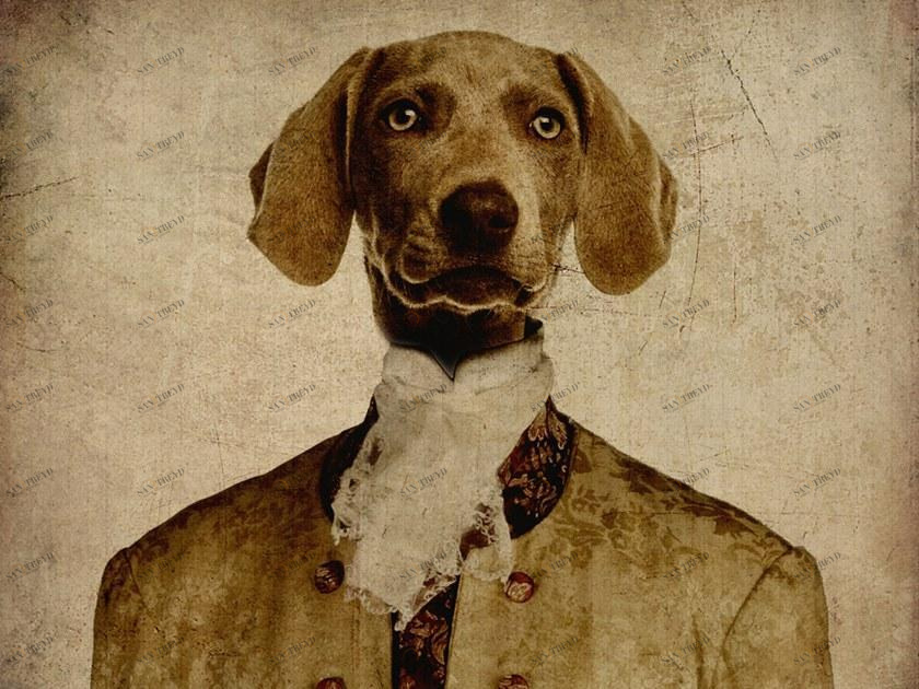 MOMENTI Авторский художественный принт Crazy home paintings Eb-009