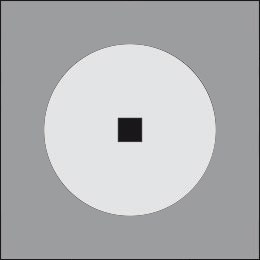 MiniTondo D 500 Ghidini Tondo Dark .05 Темно-Cерый (Матовый)  - Вид №2