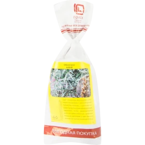 Облепиха Алей h40 см 83791410 STLM-2097290