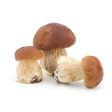 Грибы белые ~500 г Santreyd 22974