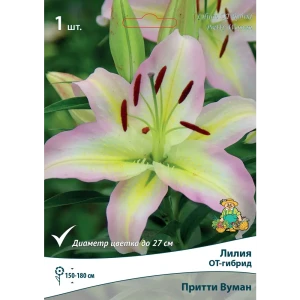 Лилия ОТ-гибрид Притти Вуман луковица 14/16 83597465 STLM-2102168