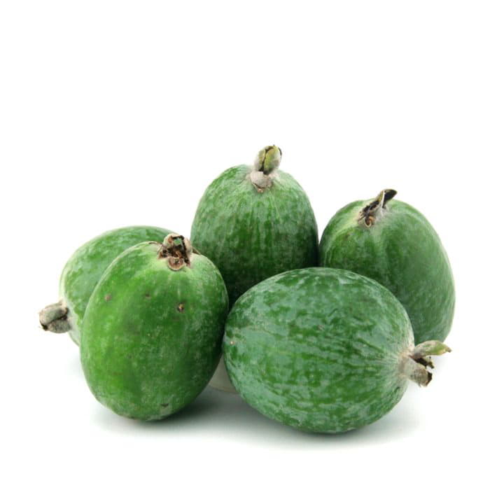 Фейхоа Santreyd 8627