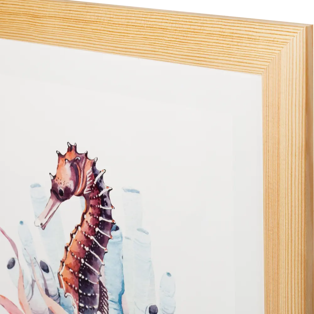 Постер в раме 40х40 см «Морской конек» Santreyd STLM-2017143 - Вид №1