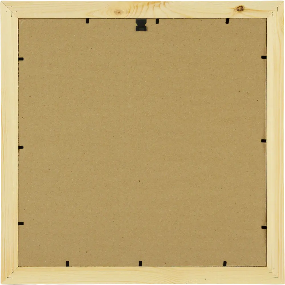 Постер в раме 40x40 см Енот Santreyd STLM-2185958 - Вид №2