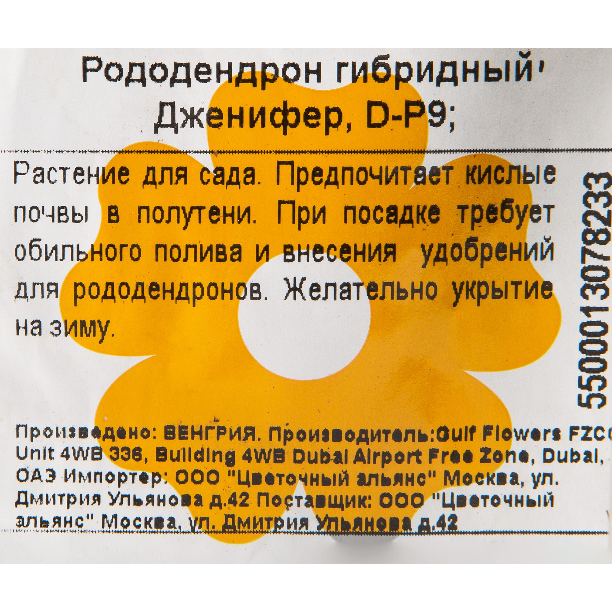 82601828 Рододендрон гибридный «Дженифер» 9x20 см Santreyd  - Вид №1