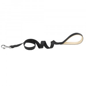 Т0024689 Поводок для собак DAYTONA G25/120 нейлон, черный FERPLAST