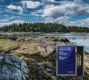 F2912 Ароматическая капсула SCENTYS