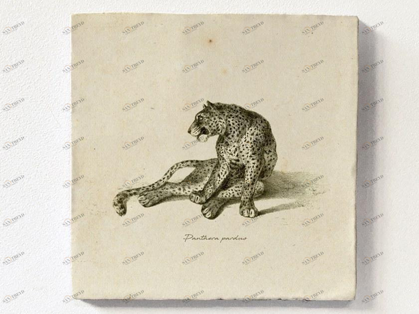 Groovy Magnets Настенный декоративный предмет из керамики Tiles M-tile-pa