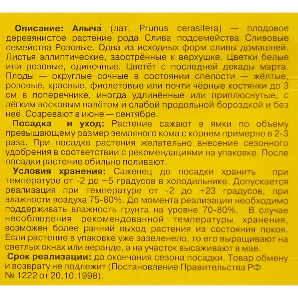 Алыча Путешественница 9x60 см 83539261 STLM-2206216 Santreyd  - Вид №3