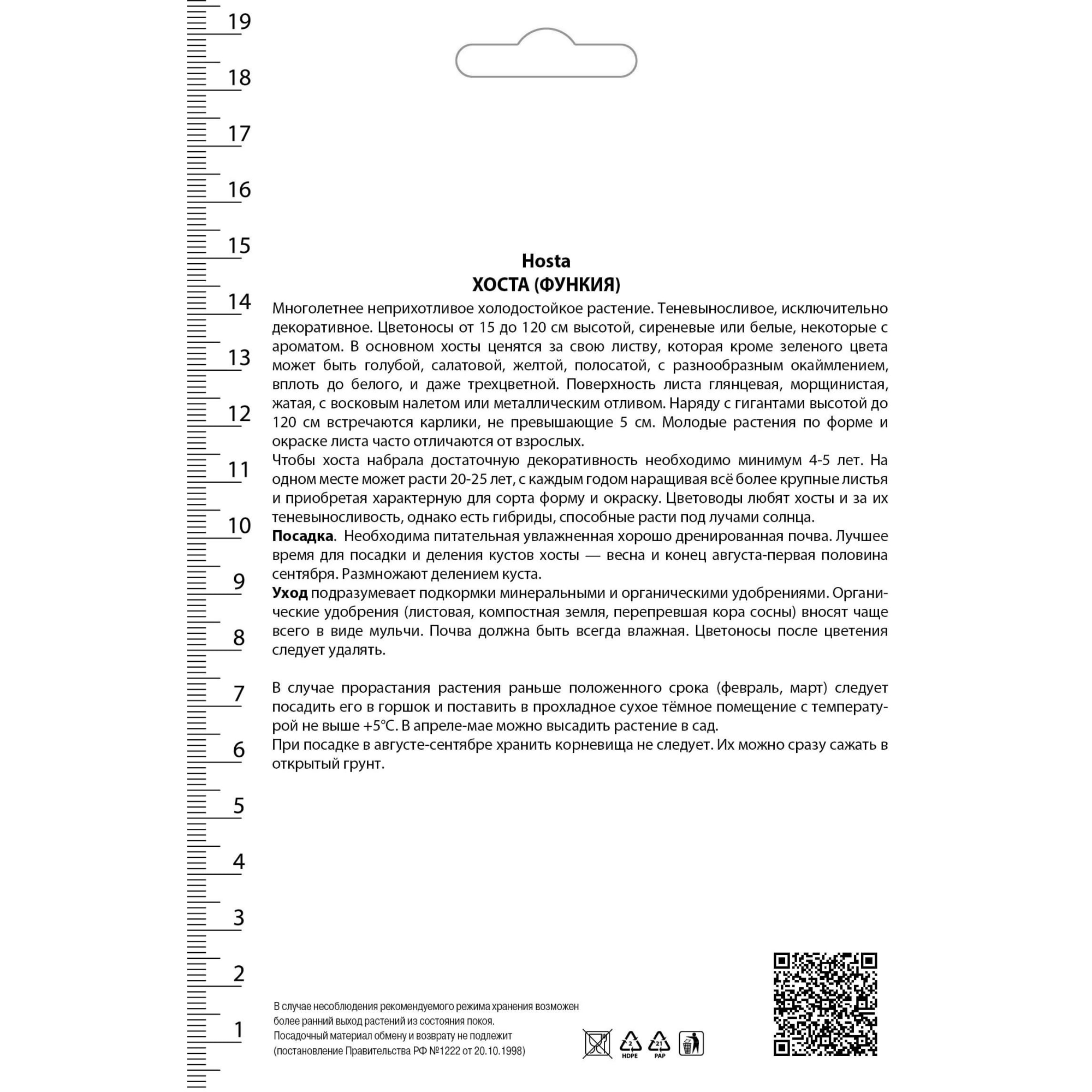 82530278 Хоста Зибольда Фрэнсиз Вилльямс Santreyd  - Вид №1