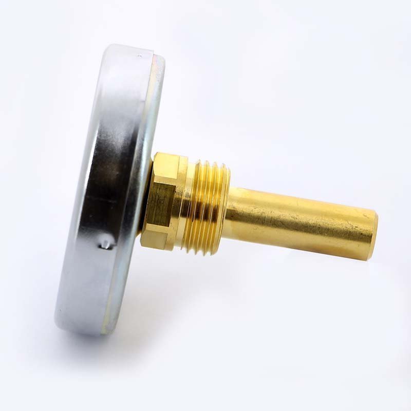 Термометр биметаллический F+R801 63 мм 160° WATTS с погружной гильзой 50 мм 10005806 - Вид №1