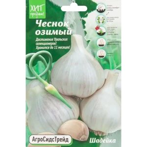 Santreyd Чеснок озимый Шадейка - 7 луковиц для богатого урожая 85273427