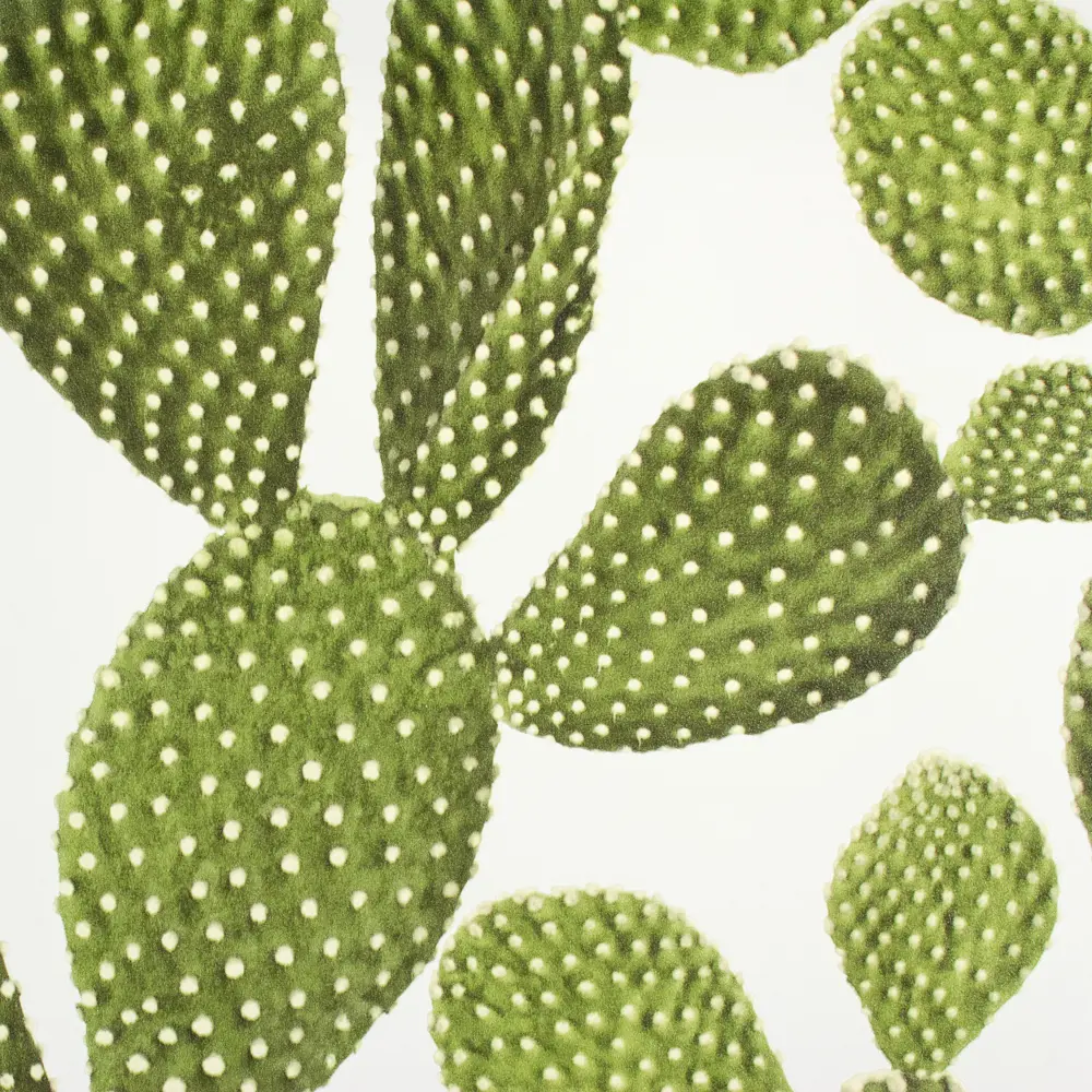 Обои флизелиновые Rasch Freundin зелёные 0.53 м 441000 STLM-2186048 - Вид №2