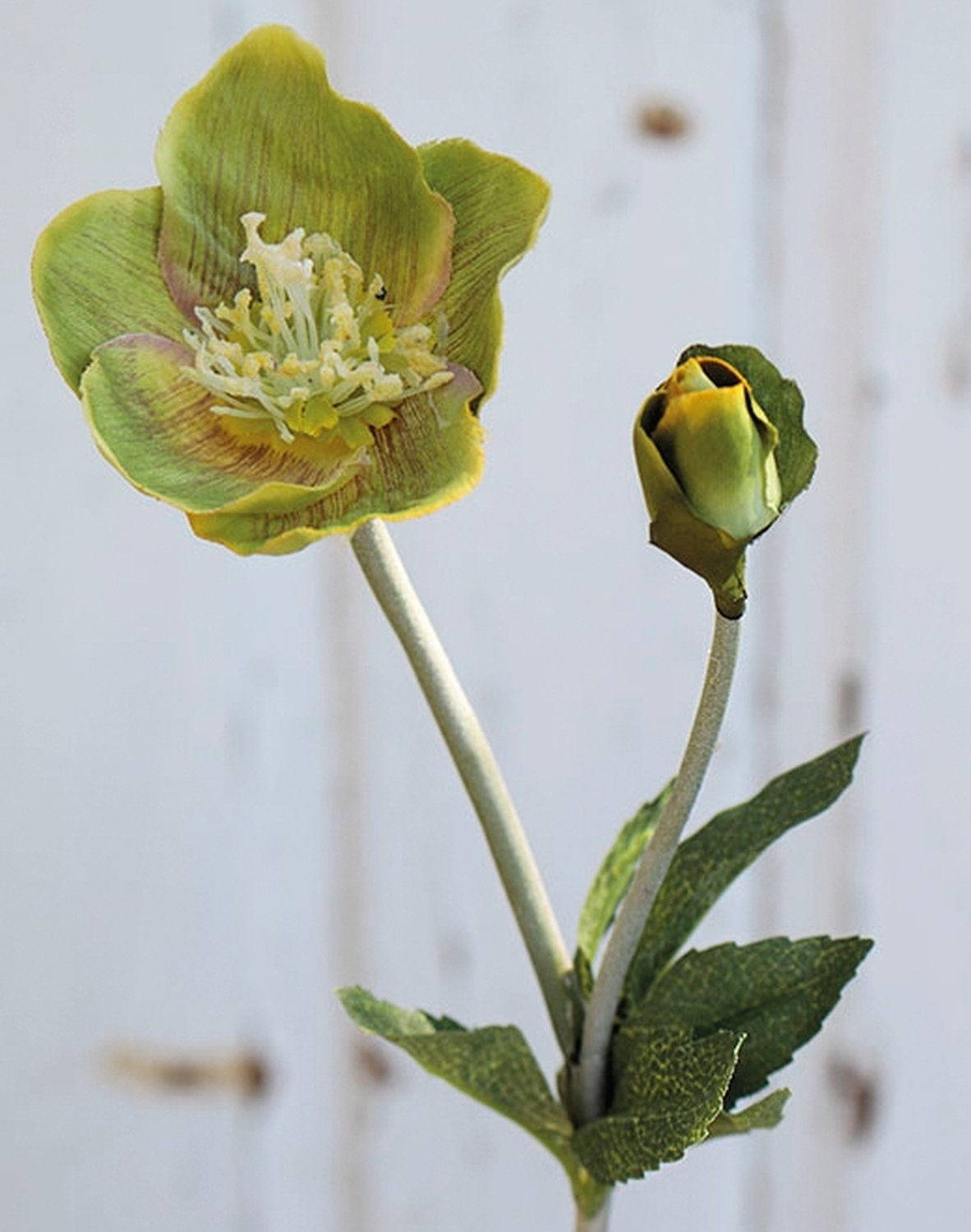 2577 788 a2 Искусственная новогодняя роза, 32 см, бежево-зеленая H-andreas 