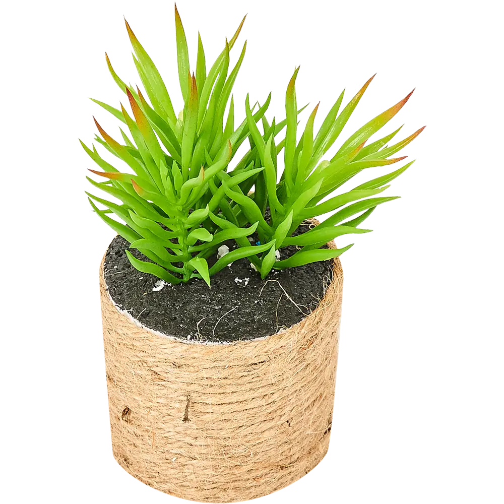 82733287 Горшок с искусственным растением с веревкой ø12 см высота 16 см STLM-0831746 Santreyd  - Вид №4