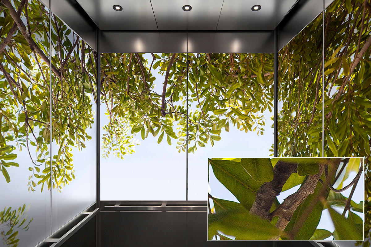 FSRT384 Зум-стекло Vivispectra с прослойкой из агата  Forms-surfaces  - Вид №17