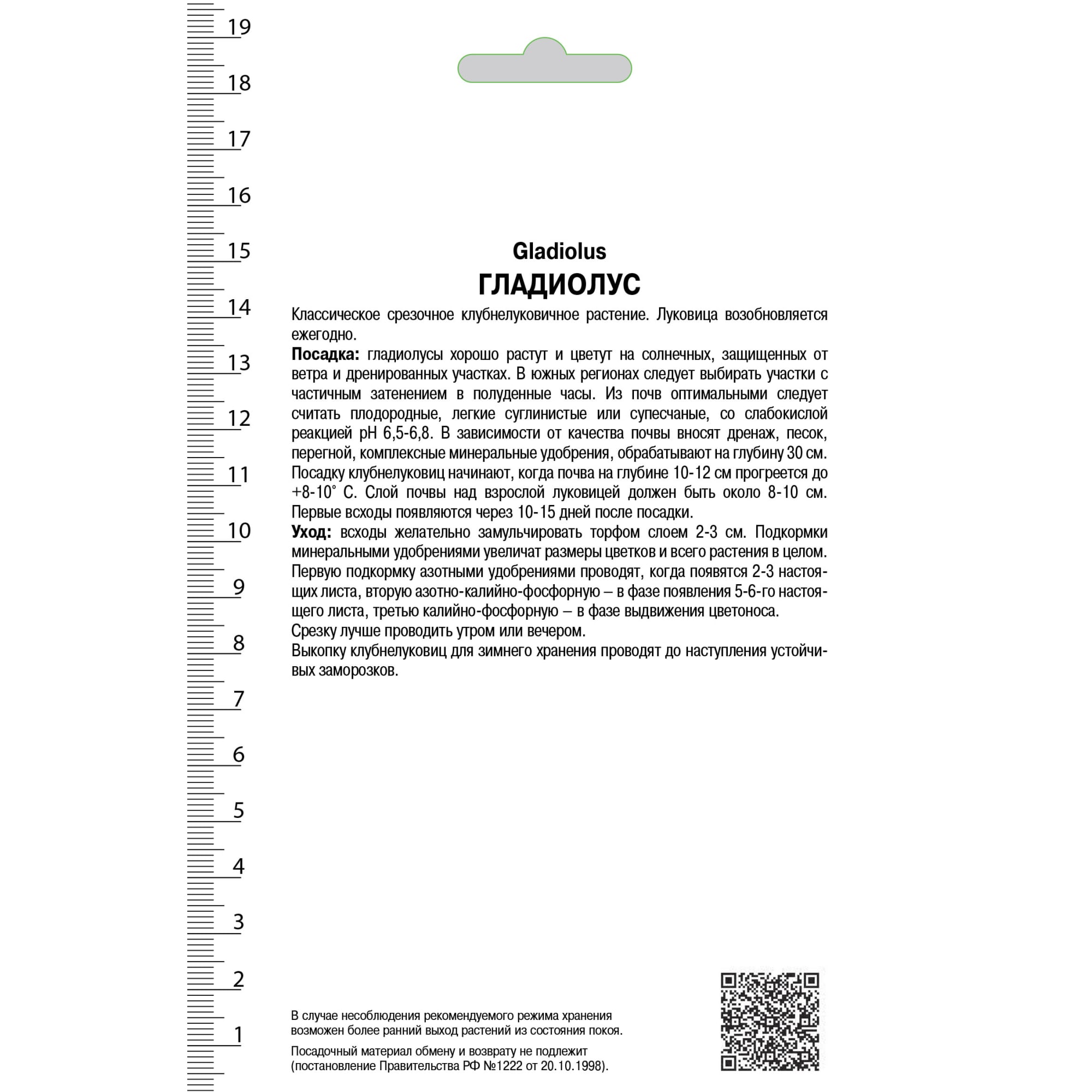 81945443 Гладиолус крупноцветковой «Оскар» Santreyd  - Вид №1