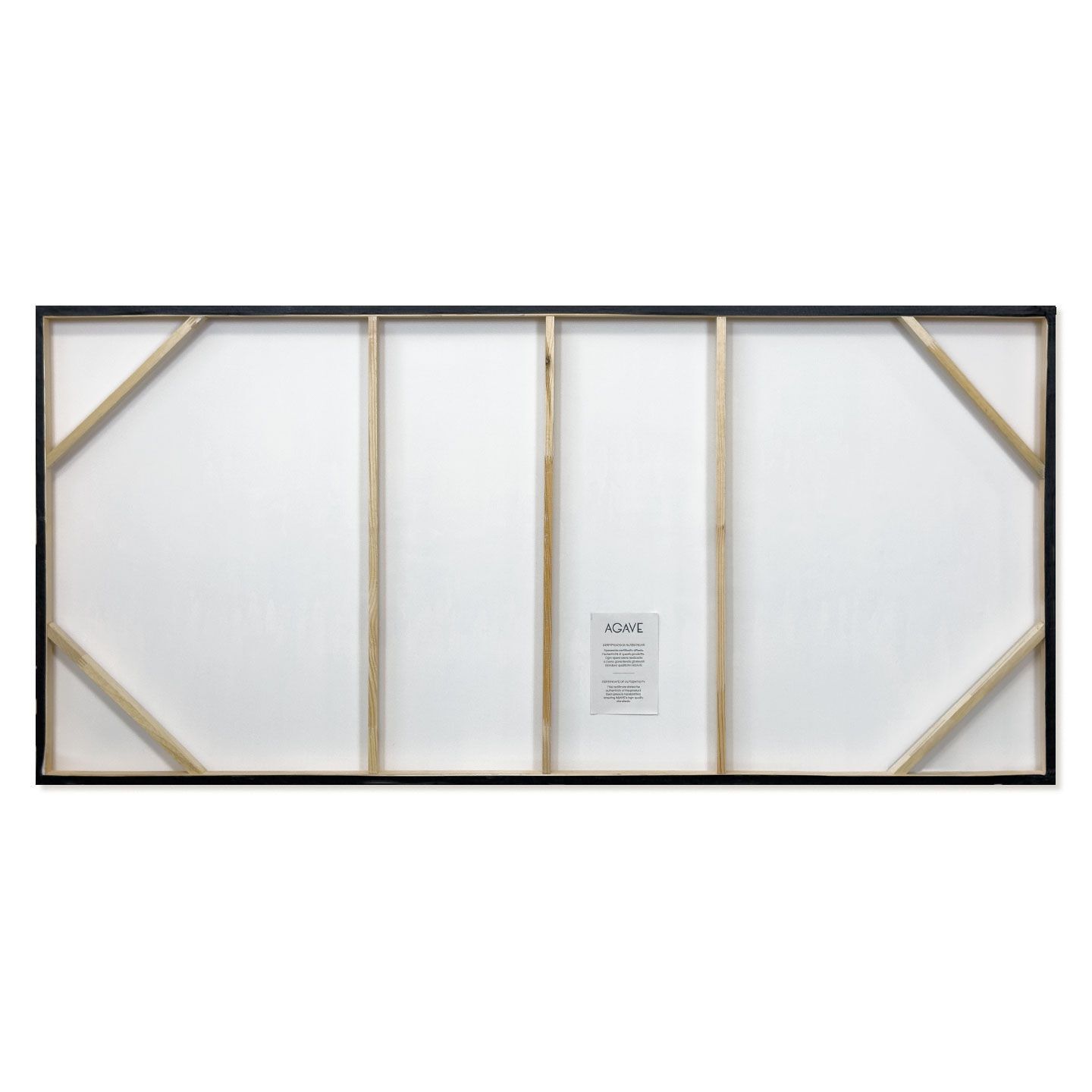 Холст рамки Agave GOLDEN RAISIN ARCH-00008558