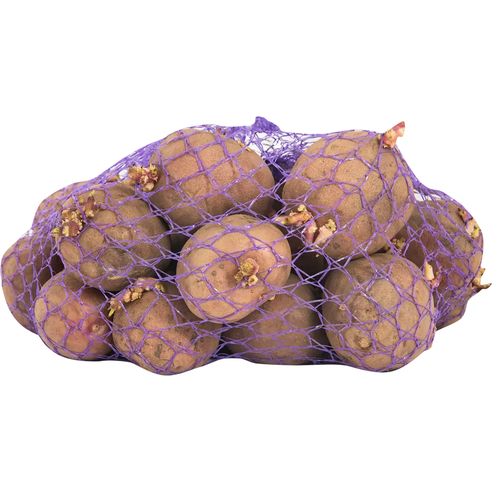 Картофель семенной «Ред Соня», 2 кг Santreyd STLM-2089208