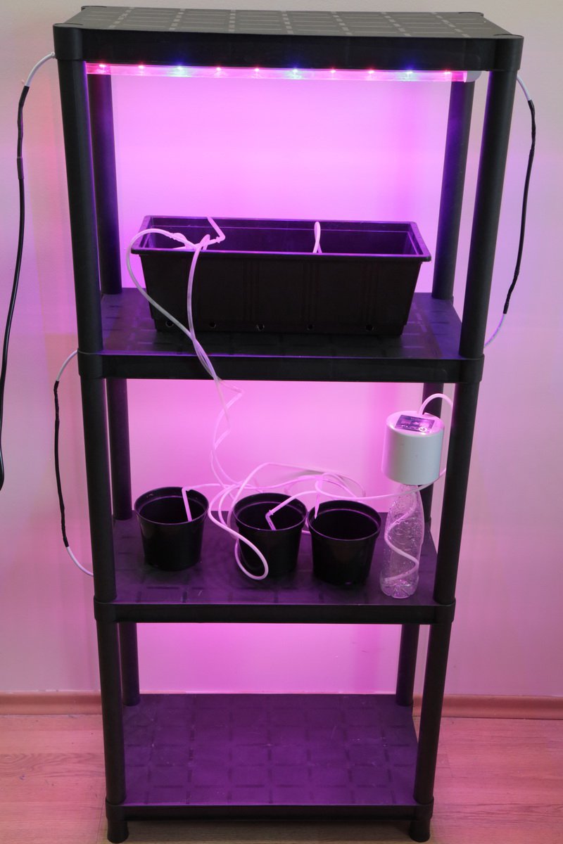 1911 Стеллаж для рассады 141*60*30 LAB.Space  - Вид №6