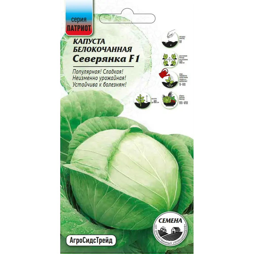 Семена овощей капуста белокочанная Северянка F1 Santreyd STLM-2097449