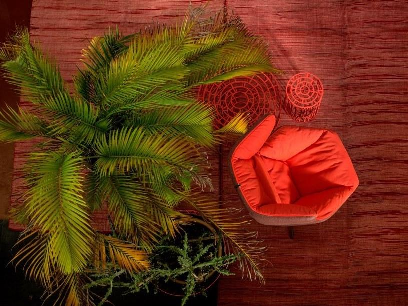 Moroso Кресло поворотное на 4-х спицах с высокой спинкой Take a line for a walk sun-id-1370506 - Вид №2