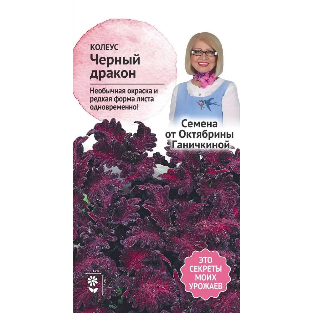 Семена цветов Семена от Октябрины Ганичкиной колеус Черный дракон 10 шт. 89449167 STLM-2037009 