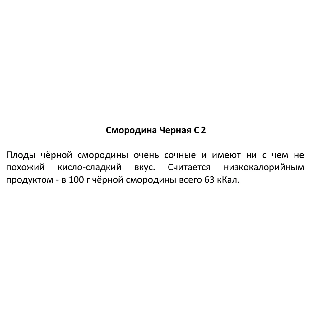 Смородина чёрная ø17 h60 см 83248551 STLM-2150449 Santreyd  - Вид №4