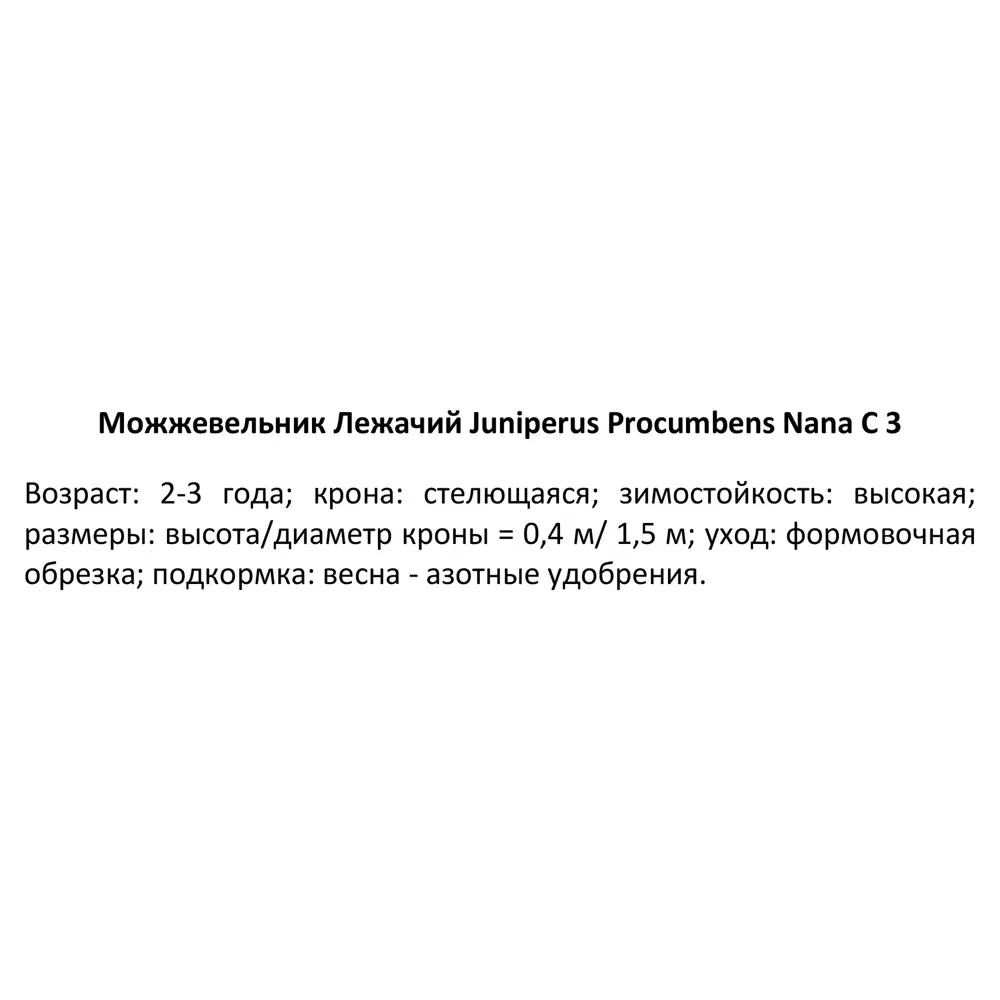 Можжевельник лежачий Нана ø19 h30 см 85440398 STLM-2210531 PLANTMARKET  - Вид №2