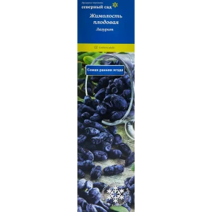 Жимолость съедобная Лазурит h40 см 86543990 STLM-2029574