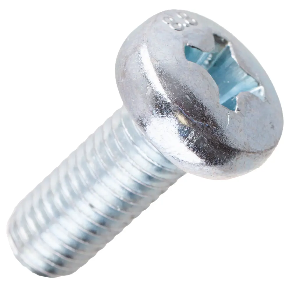 Винт крепежный DIN 7985 10×25 мм с цинковым покрытием (6 шт) 89413898 Santreyd STLM-1584747