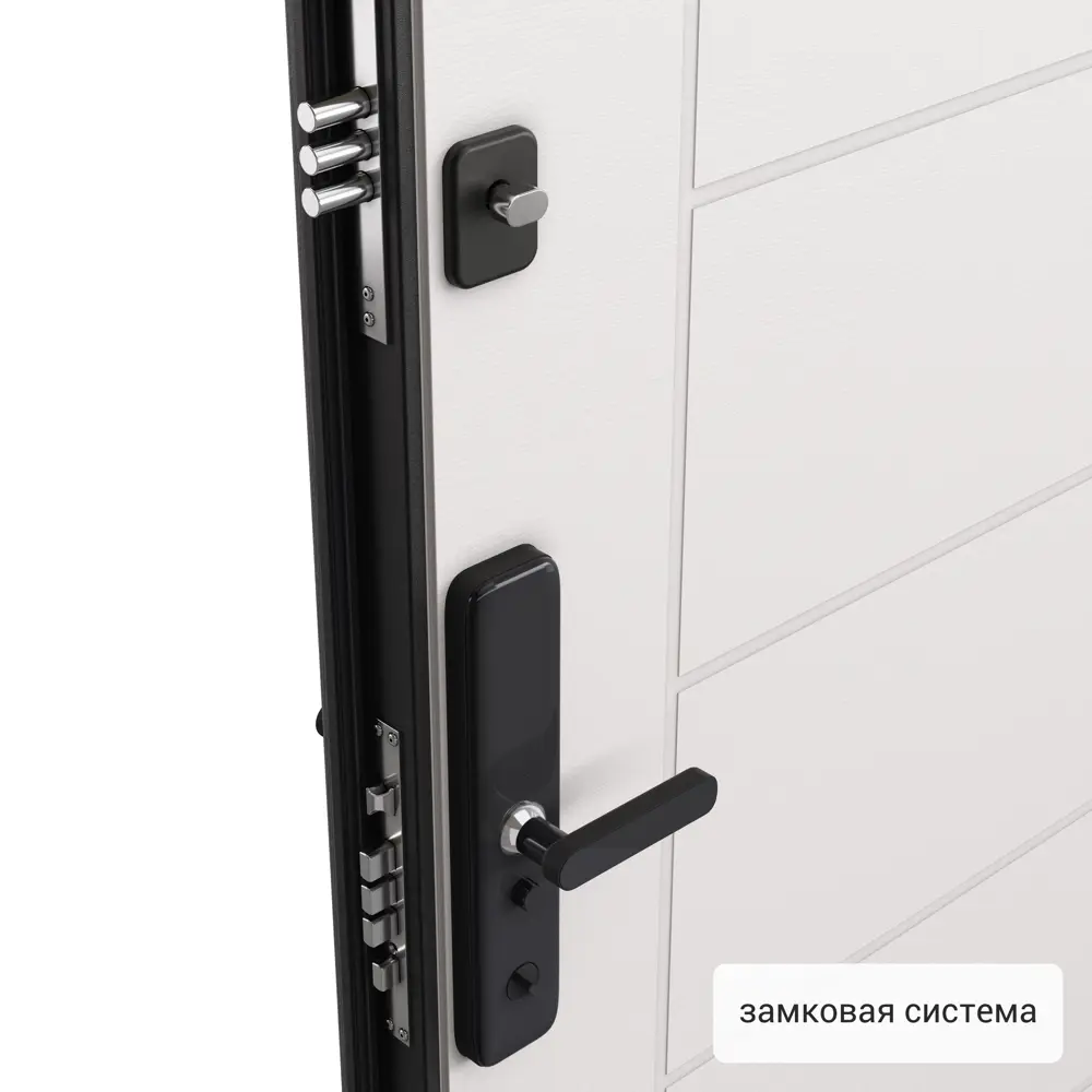 Дверь входная металлическая Хьюго 01 950 мм левая TOREX STLM-2143400 - Вид №1