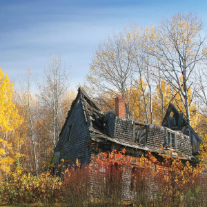 0691/CX38 Картина 0691 Adriani e Rossi