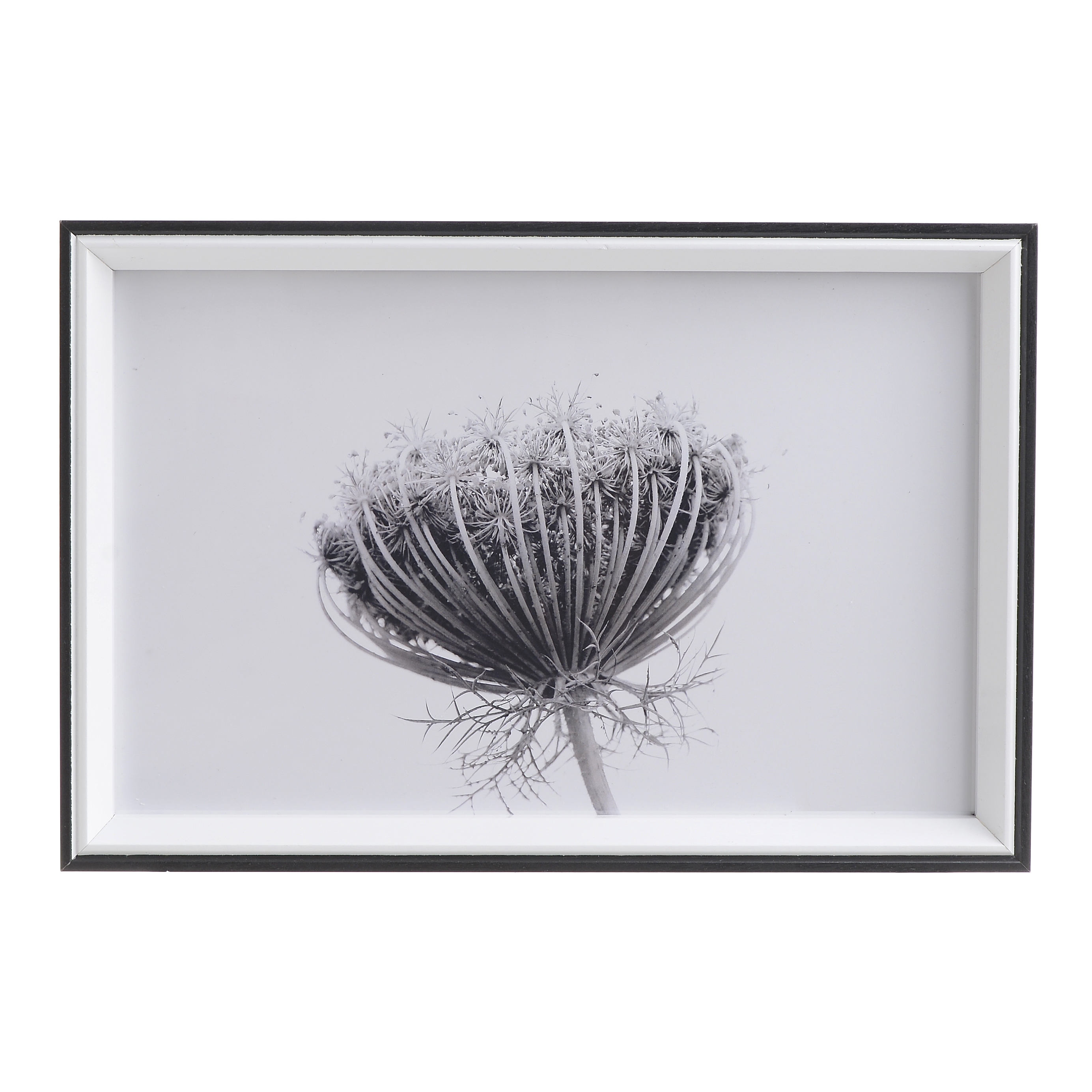 3890763.0001 Принт в раме TO4ROOMS  - Вид №1