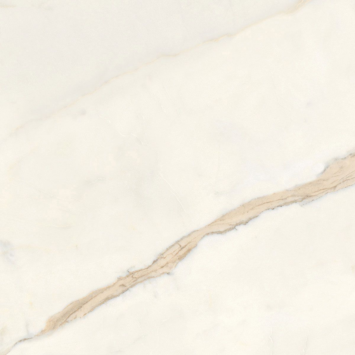 Пол / керамогранит с мраморным эффектом Italgraniti Marble Touch ARCH-00152884 - Вид №57