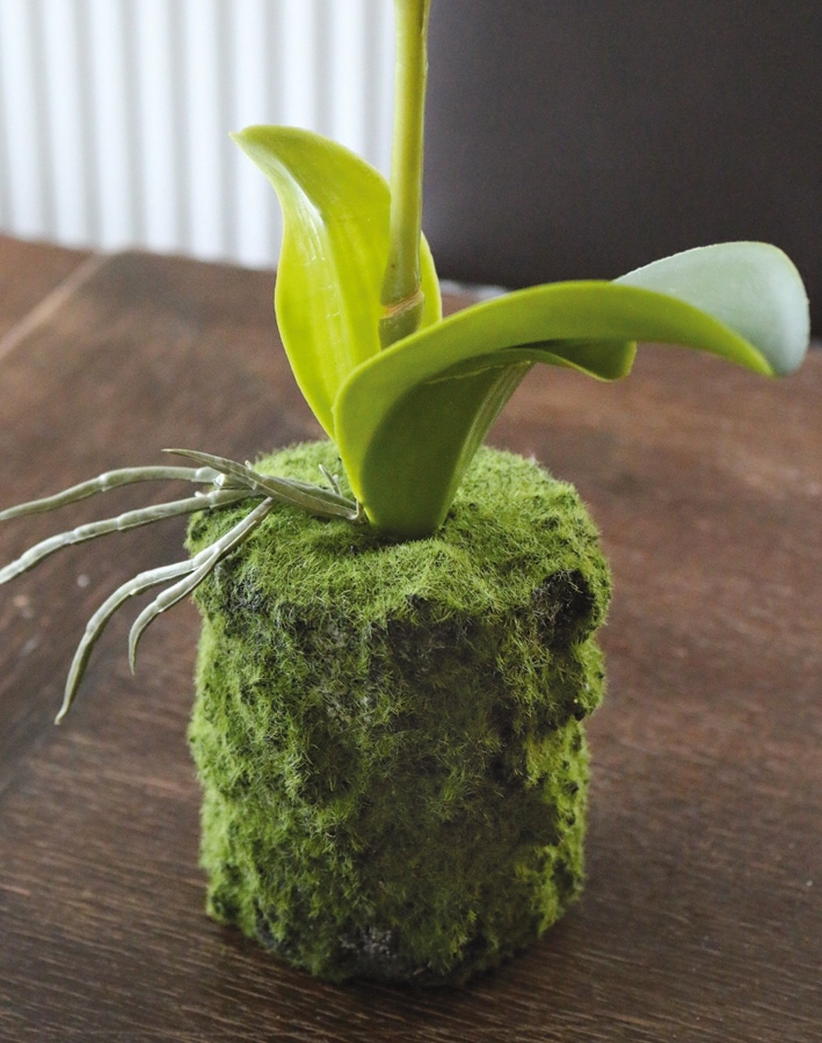 2855 777 a3 Пластиковая орхидея Phalaenopsis с 'почвой', 43 см, real touch, белая H-andreas  - Вид №4