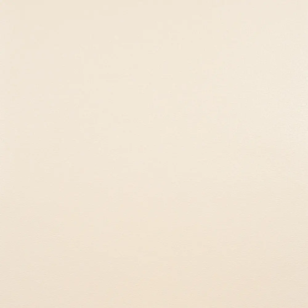 Обои виниловые 0.53х10 м однотон цвет бежевый Ra 883916 Rasch STLM-2203305