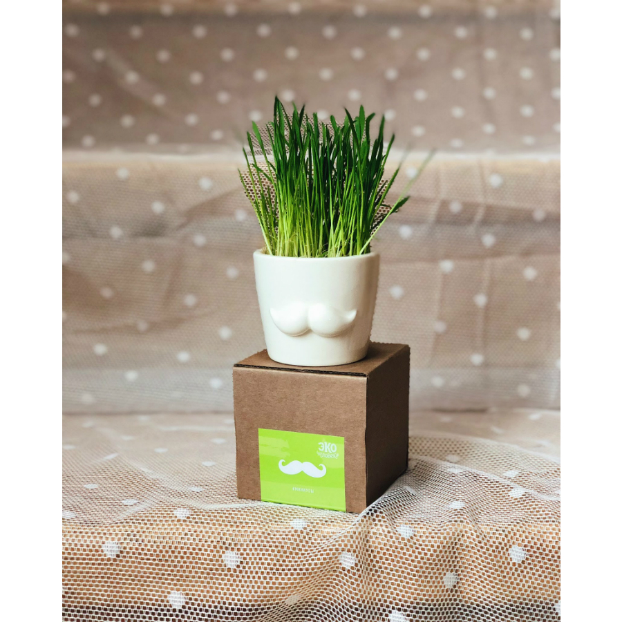 Набор для выращивания Eco мини-кашпо «Усы» ЭКОЧЕЛОВЕКИ MIN102 - Вид №2