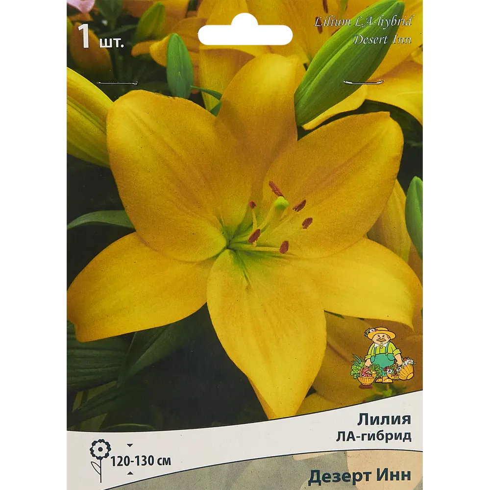 Лилия ла-гибрид Дезерт Инн 85205749 STLM-2116394 ПОИСК 