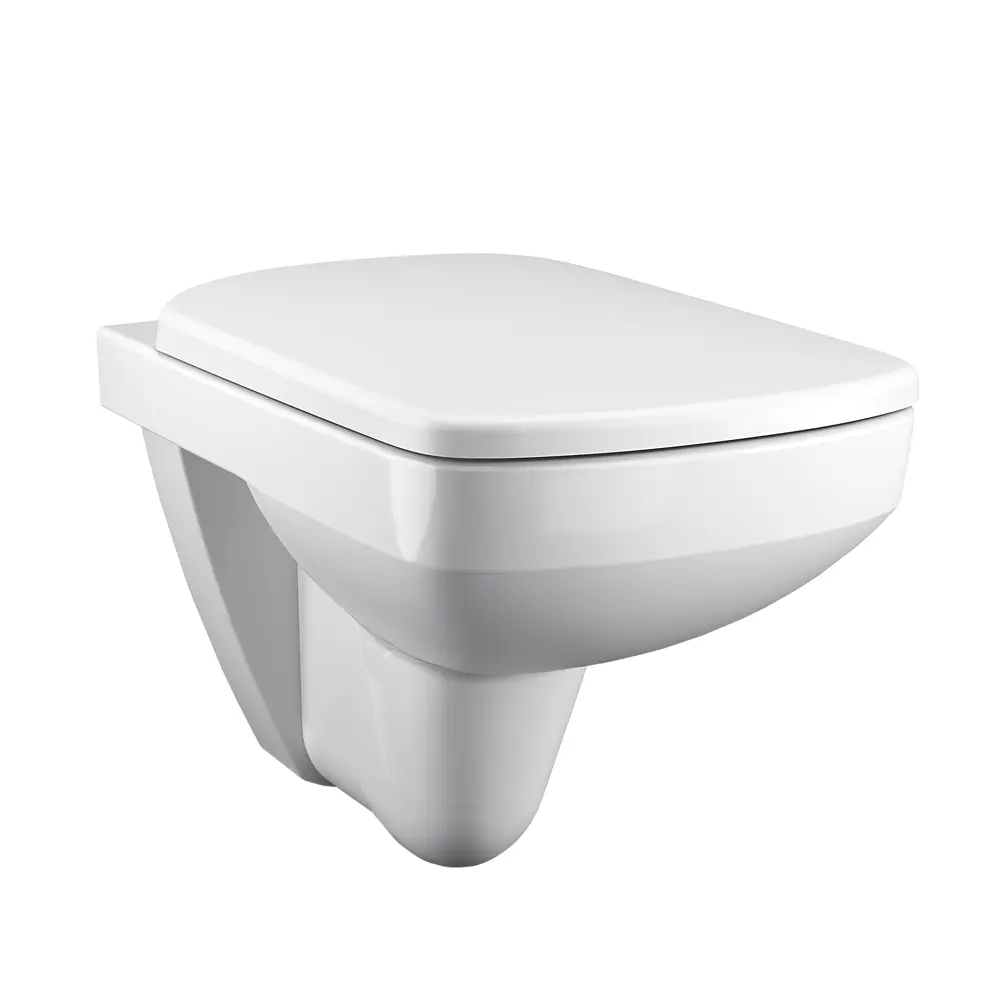 Унитаз подвесной Geberit Selnova безободковый STLM-2056075 - Вид №4